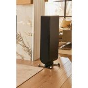 Акустическая система PS Audio Aspen FR10 satin black