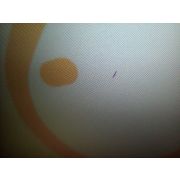 Интерактивная LED панель Newline TruTouch TT-7521Q (8 Гб)