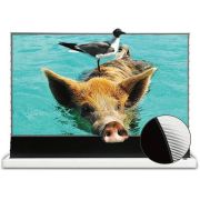 Напольный моторизованный экран VividStorm S-Pro-White-120