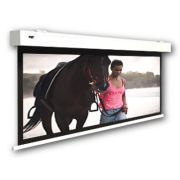 Моторизованный экран Oray Squar HC 154