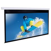 Моторизованный экран Dragonfly DFM-NTT-110-ALR