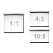 Экран настенный с электроприводом Digis DSEF-4306