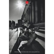 Акустическая панель DALI ACOUSTIC PANELS Jeff Fiorello (New York) A1