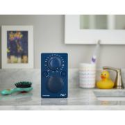 Портативный радиоприемник Tivoli PAL BT Цвет: Синий [Blue]