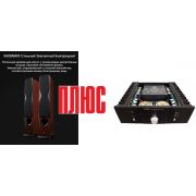 Audreal Vintage A40+Напольная акустика Swan Speakers RM600AMKII